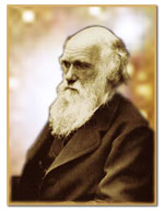 Чарльз Дарвин цитаты фразы афоризмы высказывания